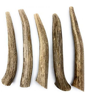Deer Antlers for Dogs, Premium, Grade A, Deer Antler Dog Chew, Long Lasting Dog Treat for Your Pet. from The USA (5-Pack, Small, Long)