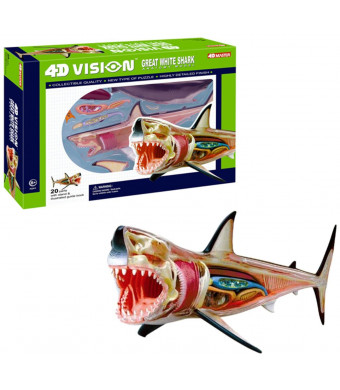 4D Vision Great White Shark Anatomy Model