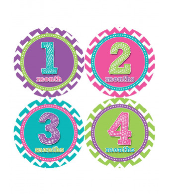 Months in Motion 284 Monthly Baby Stickers Baby Girl Months 1-12 Milestone