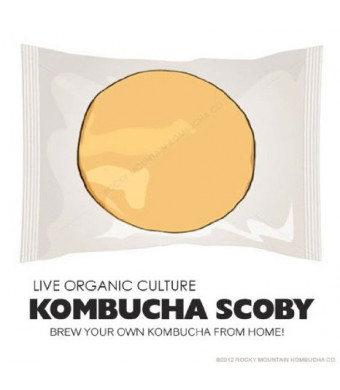 Organic Kombucha Scoby - Live Culture