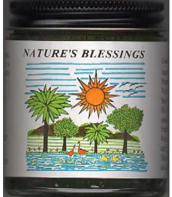 Nature's Blessing Hair Pomade 4 Oz Jar--Two Pack