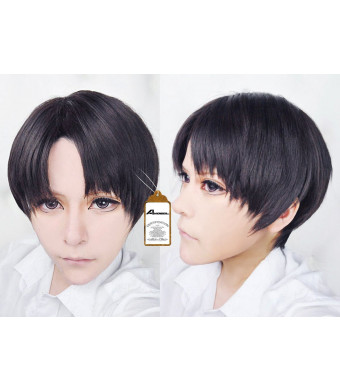Free Hair Cap + Attack on Titan Black Levi / Rivaille Cosplay Wig
