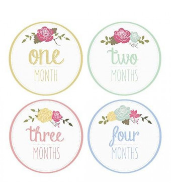 Pinkie Penguin Baby Monthly Stickers - Flowers, Leaves and Beauty - Milestone Onesie Stickers - 1-12 Months - Baby Girl