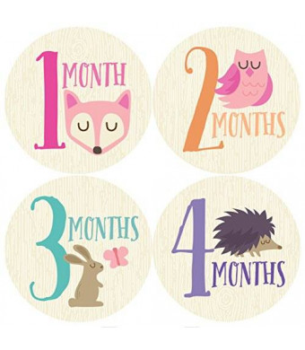 Penny & Prince Designs LLC Woodland Monthly Baby Sticker, Baby Girl