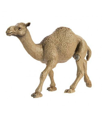 Safari Ltd. Safari Ltd Wild Safari Wildlife Dromedary Camel