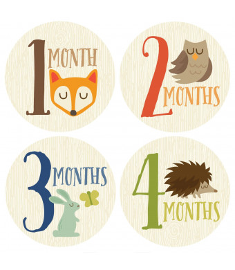 Penny & Prince Designs LLC Monthly Baby Sticker, Woodland, Baby Gift, Baby Boy