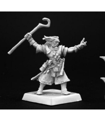 Reaper Ezren, Iconic Male Human Wizard Pathfinder Series Miniatures