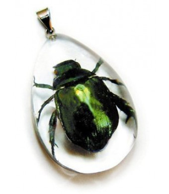 REALBUG Green Chafer Beetle, Necklace, Clear, Small