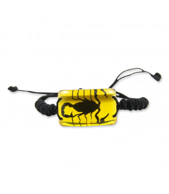 REALBUG Black Scorpion Bracelet, Amber