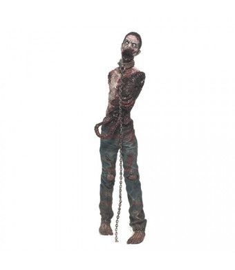 McFarlane Toys The Walking Dead Comic Series 2 Michonne's Pet Zombie Action Figure