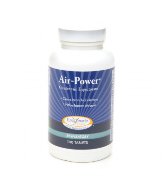 Enzymatic Therapy Air-Power Guaifenesin Expectorant