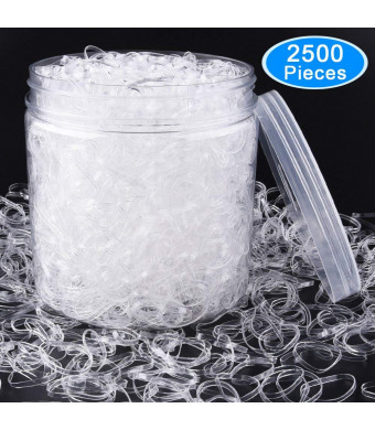 EAONE 2500 Pieces Clear Hair Elastics Hair Bands Clear Rubber Bands with Free Box for Braiding and Ponytail