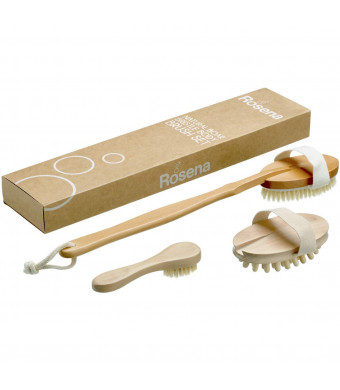Dry Brushing Body Brush Set - Best for Cellulite, Lymphatic Drainage and Skin Exfoliating - Natural Bristle Spa Kit - Long Handle Back Scrubber, Massager and Face Exfoliator for Radiant Skin