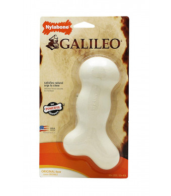 Nylabone Galileo Original Flavored Dog Chew Toy