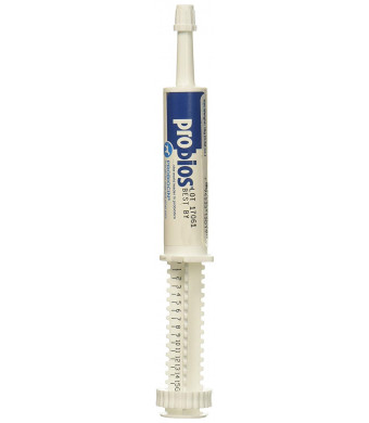Probiocin Oral Gel 15gm Syringe
