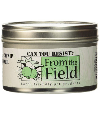 From The Field 1-Ounce Can You Resist Catnip Leaf and Flower Tin Can