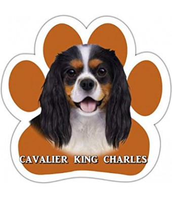 King Charles Cavalier, Tri Color Car Magnet With Unique Paw Shaped Design Measures 5.2 by 5.2 Inches Covered In UV Gloss For Weather Protection