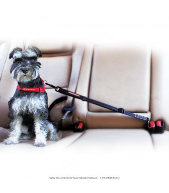 EzyDog Click - Best Dog Seat Belt Car Harness Attachment Dogs - Adjustable Dog Restraints Seatbelts Cars