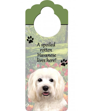 Havanese Wood Sign "A Spoiled Rotten Havanese Lives Here"with Artistic Photograph Measuring 10 by 4 Inches Can Be Hung On Doorknobs Or Anywhere In Home