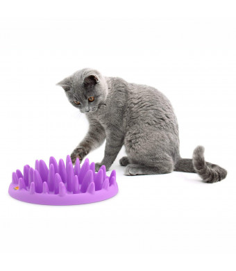 The Company of Animals - Northmate Interactive Cat Feeder - Slow Feed Bowl