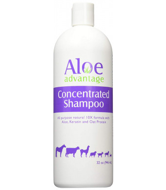 Aloe Advantage Aloe Concentrated Shampoo, 32-Ounce