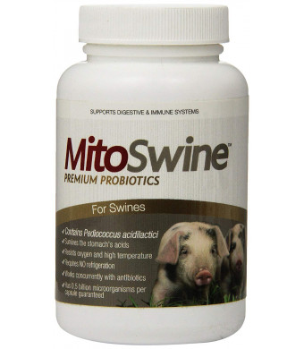 Imagilin Technology, LLC MitoSwine Premium Pediococcus Based Probiotics and Prebiotics for Pigs, 150 Capsules Per Bottle