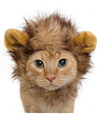 Pet Krewe PK00101 Lion Mane Costume for Small Dogs and Cats