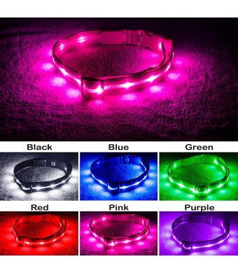 Blazin' Safety LED Dog Collar  USB Rechargeable with Water Resistant Flashing Light