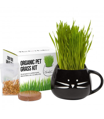 Organic cat Grass Growing kit with Organic Seed Mix, Organic Soil and cat Planter. Great Gift idea for Fur Babies. Natural Hairball Control, Remedy for Cats. Natural Digestive aid. USA Manufactured.