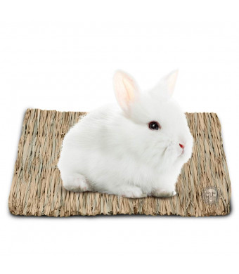SunGrow Natural Seagrass Mat - Safe and Edible for, Hamsters, Rabbits, Parrot: Water Resistant Bed and Non-Toxic Toy