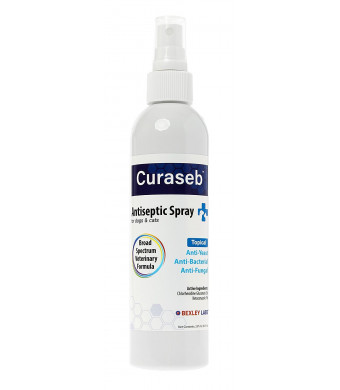 Curaseb | Chlorhexidine Spray for Dogs and Cats - Anti Itch, Antifungal and Antibacterial w/ Aloe - Effective Against Ringworm, Yeast and Pyoderma, Broad Spectrum Vet Formula, 100% Satisfaction Guarantee