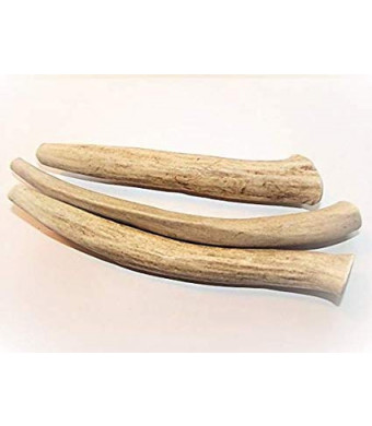 Antler Dog Treats Save Medium 3-Pack 5-7 in. Long, All-Natural Anti Anxiety Deer Antler Chews from Texas