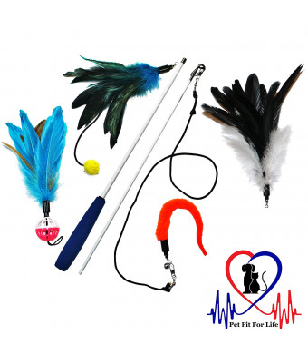 Pet Fit For Life Multi Feathers and 1 Soft Teaser/Exerciser Interactive Cat Wand for Your Cat or Kitten