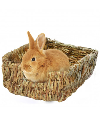 SunGrow Portable Grass Bed - Hand-Made with Natural Grass: Provides Paws Protection and Relaxation : Lightweight, Durable, Safe and Comfortable for Rabbits, Chinchillas, Guinea Pigs and Other Small Animals