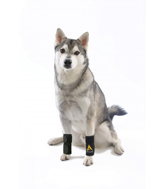Agon Pair Dog Canine Front Leg Brace Paw Compression Wraps with Protects Wounds Brace Heals and Prevents Injuries and Sprains Helps with Loss of Stability Caused by Arthritis