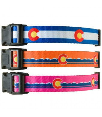 Colorado State Flag Dog Collar