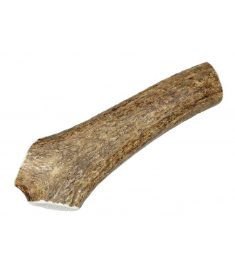 Large, Whole, Single Pack - Grade  A Premium Elk Antler Dog Chew for 35 to 65 lb dogs  Naturally shed from wild elk  No Mess, No Odor  Made in the USA