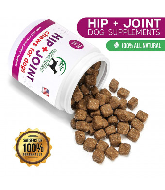 Genuine Naturals Glucosamine Chondroitin, MSM, Organic Turmeric Soft Chews, Hip and Joint Supplement for Dogs, Supports Healthy Joint Function and Helps with Pain Relief, 120-Count