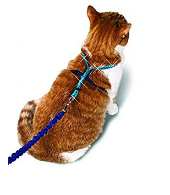 PetSafe Come With Me Kitty Glitter Harness and Bungee Cat Leash