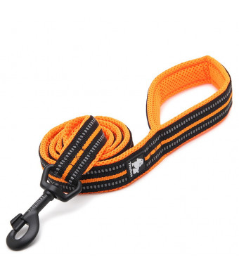 PENTAQ 200 cm Long 2cm Wide Dog Leash Rope 3M Reflective Stripes Soft And Breathable Mesh With Strong Steel Hook Night Time Dog Walking Leash