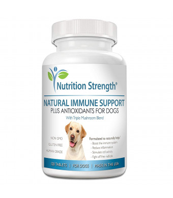 Nutrition Strength Immune Support for Dogs Plus Antioxidant, Reishi, Shiitake, Maitake, Turkey Tail Mushrooms for Dogs, with Coenzyme Q10, Natural Support for Cancer in Dogs, 120 Chewable Tablets