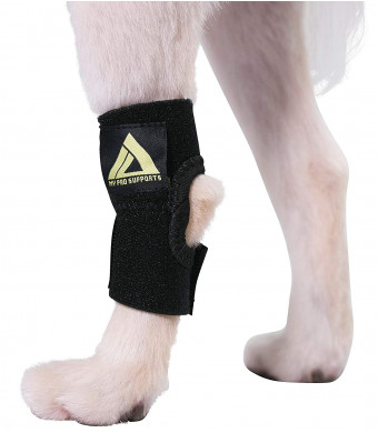 Dog Canine Rear Leg Hock Joint Wrap Protects Wounds as They Heal Compression Brace Heals and Prevents Injuries and Sprains Helps with Loss of Stability Caused by Arthritis by My Pro Supports