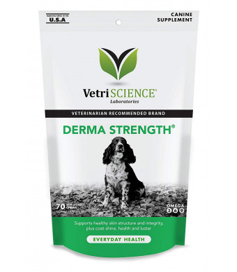 VetriScience Laboratories-Derma Strength, Skin and Coat Supplement for Dogs-70 Bite Sized Soft Chews