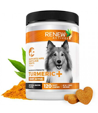 Renew Actives Dog Joint Pain Support Supplement Natural, Advanced Organic Turmeric Joint Supplement for Dogs - Canine Chewable Hip, Joint and Arthritis Formula for Mobility - 120 Soft Chews