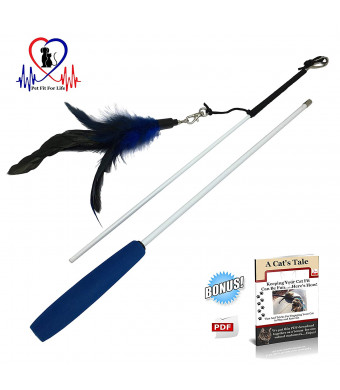 Pet Fit For Life Feather Teaser and Exerciser For Cat and Kitten - Cat Toy Interactive Cat Wand