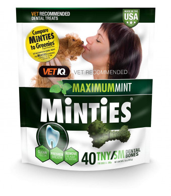 VetIQ Minties Dog Dental Bone Treats, Dental Treats for Dogs, Tiny/Small, 16oz