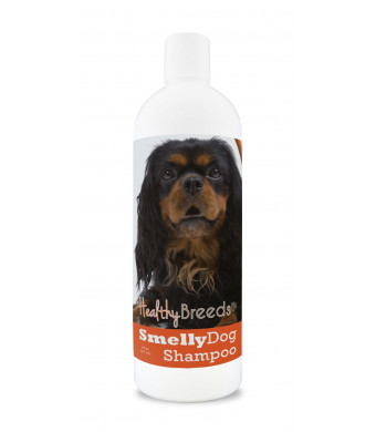 Healthy Breeds Smelly Dog Deodorizing Shampoo and Conditioner Baking Soda - Over 200 Breeds - Hypoallergenic Oats and Aloe - 8 oz