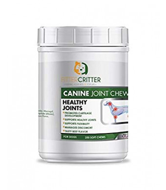 Fitter Critter Hip and Joint Supplement Chews for Dogs, Glucosamine, Chondroitin, MSM, Turmeric, Arthritis Pain Relief Treats for Canines, Improves Mobility and Hip Dysplasia, Made in USA - 250 Soft Chews