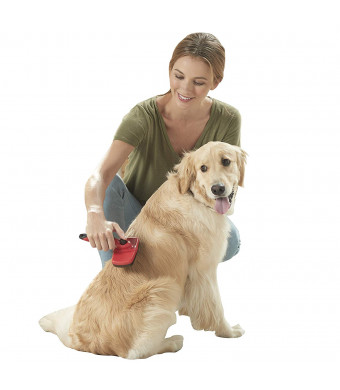 Franklin Pet Supply Shed-Master Dog Grooming Brush  Short Hair  De-Shedding Dogs  Reduce Shedding  Self-Cleaning