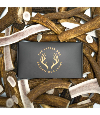 The Antler Box Premium Elk Antler Dog Chews (1 lb Bulk Pack) -Both Whole and Split Antlers-Long Lasting Organic Chewing Toys Sourced from Naturally Shed Antlers in The USA